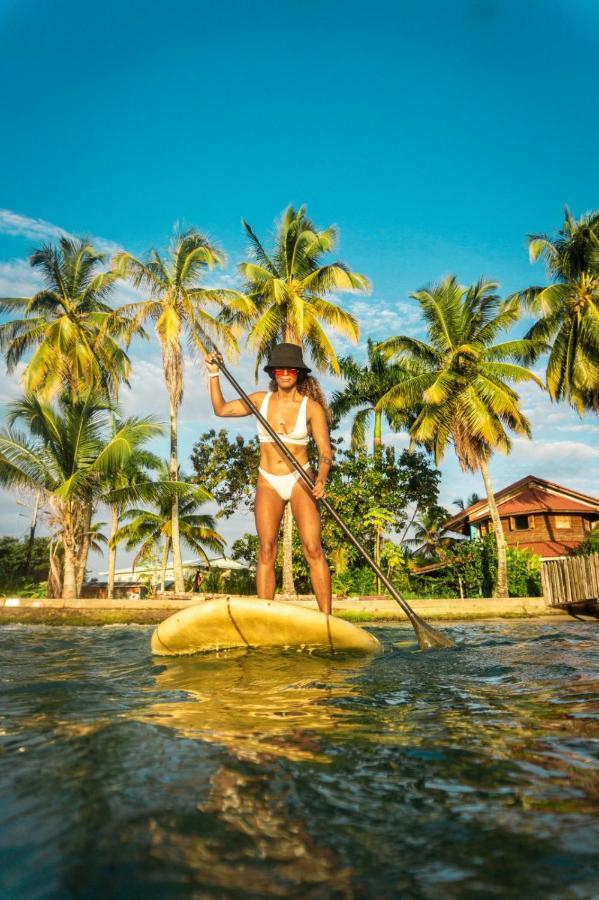 Aqua Lounge Vandrerhjem Bocas del Toro Eksteriør bilde