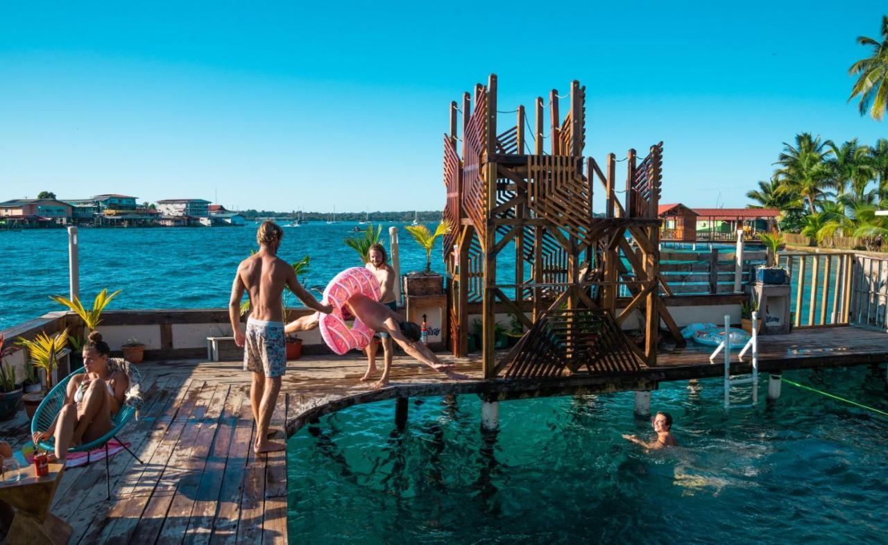 Aqua Lounge Vandrerhjem Bocas del Toro Eksteriør bilde