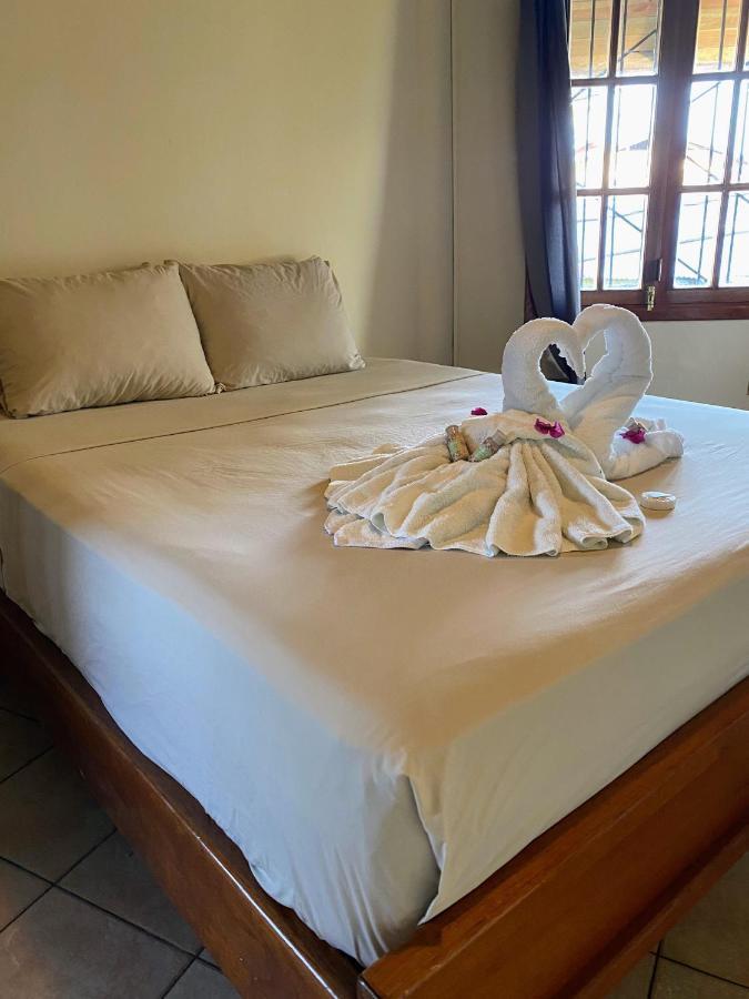 Aqua Lounge Vandrerhjem Bocas del Toro Eksteriør bilde